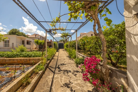 Apartmán Ostrov Brač - Supetar OS 12169 N1