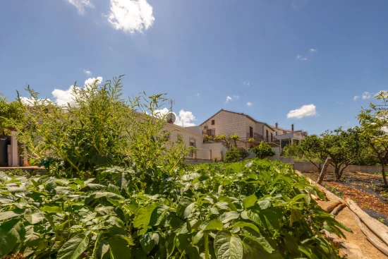 Apartmán Ostrov Brač - Supetar OS 12169 N1