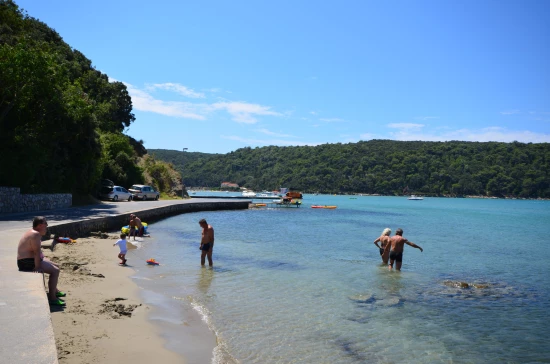 Apartmán Ostrov Rab - Kampor OS 12170 N1