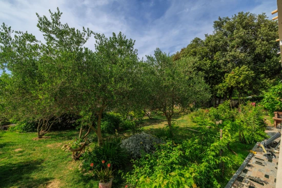 Apartmán Ostrov Rab - Kampor OS 12170 N1