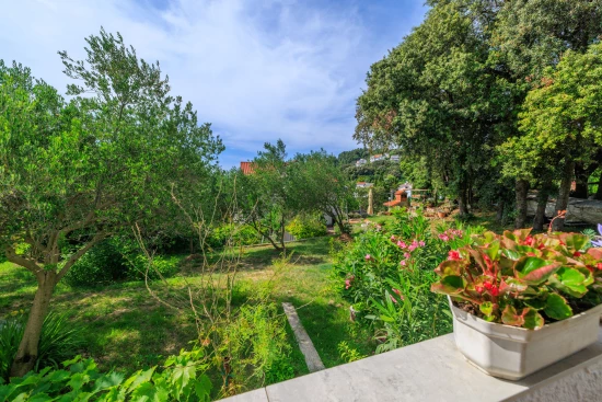 Apartmán Ostrov Rab - Kampor OS 12170 N1