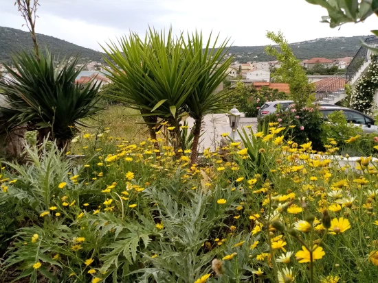 Apartmán Střední Dalmácie - Vinišće DA 17176 N1