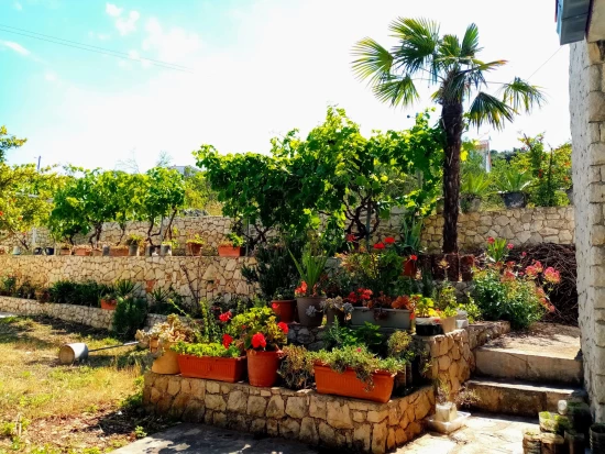 Apartmán Střední Dalmácie - Vinišće DA 17176 N1