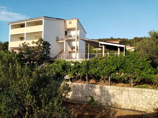 Apartmán Střední Dalmácie - Vinišće DA 17176 N2