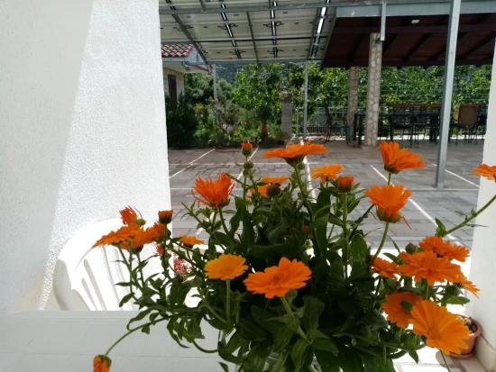 Apartmán Střední Dalmácie - Vinišće DA 17176 N3