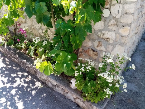 Apartmán Střední Dalmácie - Vinišće DA 17176 N3