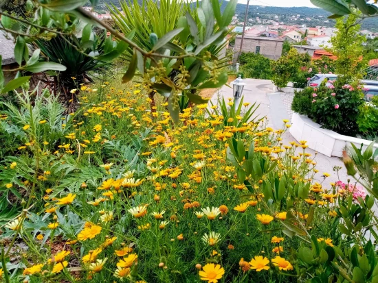 Apartmán Střední Dalmácie - Vinišće DA 17176 N3