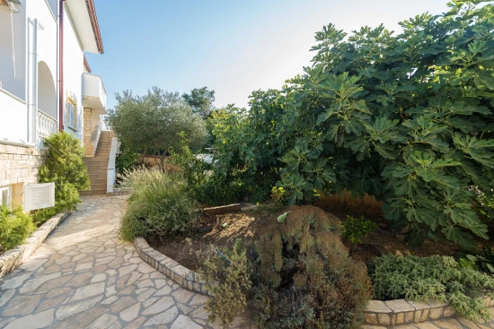 Apartmán Ostrov Ugljan - Lukoran OS 12173 N3