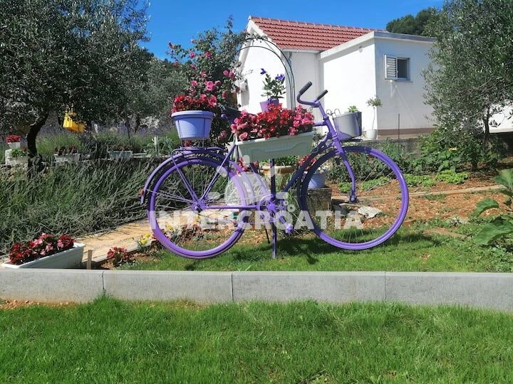 Domek Severní Dalmácie - Raslina (Šibenik) DA 17179 N1