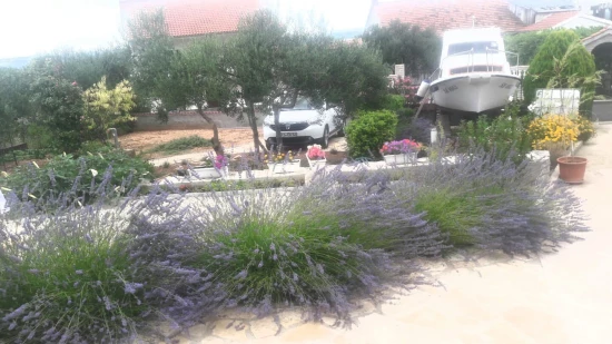 Domek Severní Dalmácie - Raslina (Šibenik) DA 17179 N1