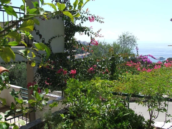 Apartmán Střední Dalmácie - Okrug Gornji DA 17181 N1