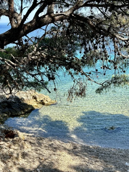 Apartmán Severní Dalmácie - Bilo (Primošten) DA 17182 N1