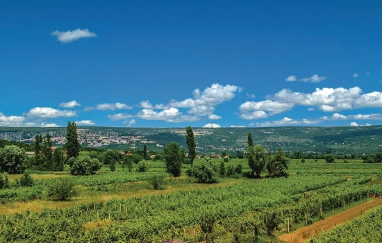 Domek Střední Dalmácie - Imotski DA 17184 N1