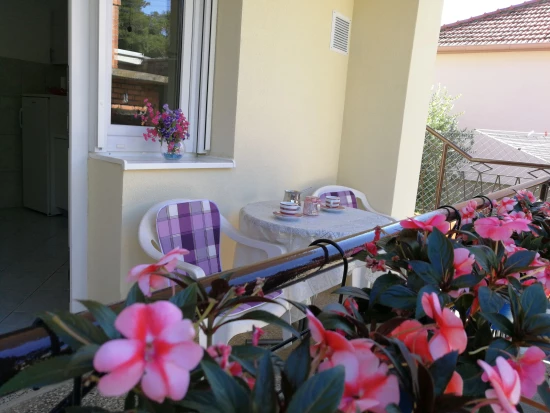 Apartmán Severní Dalmácie - Zadar DA 17186 N1