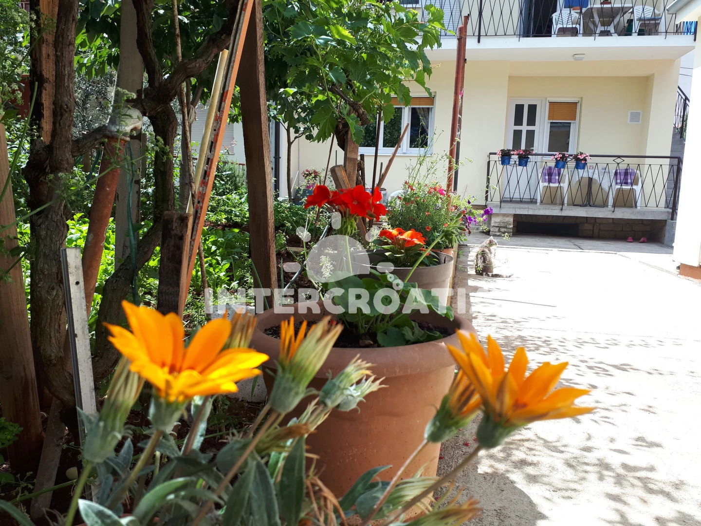 Apartmán Severní Dalmácie - Zadar DA 17186 N1