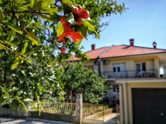 Apartmán Severní Dalmácie - Zadar DA 17186 N1