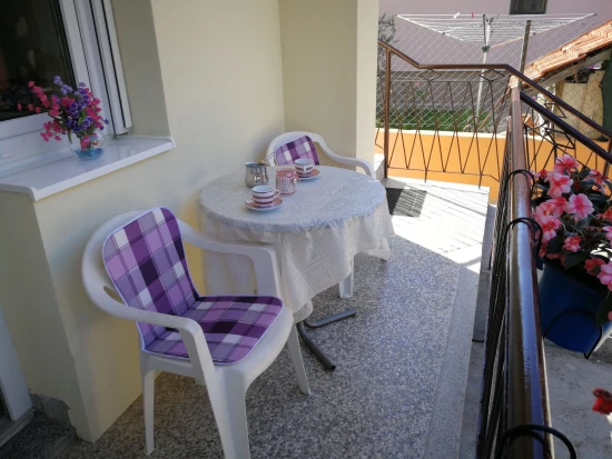 Apartmán Severní Dalmácie - Zadar DA 17186 N1