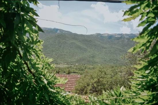 Domek Střední Dalmácie - Zagvozd (Baška Voda) DA 17187 N1