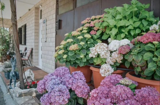 Domek Střední Dalmácie - Zagvozd (Baška Voda) DA 17187 N1