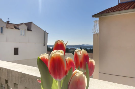 Apartmán Severní Dalmácie - Šibenik DA 17188 N1