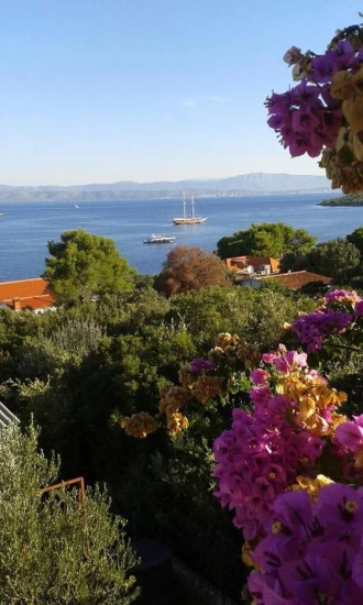 Apartmán Ostrov Šolta - Nečujam OS 12176 N1