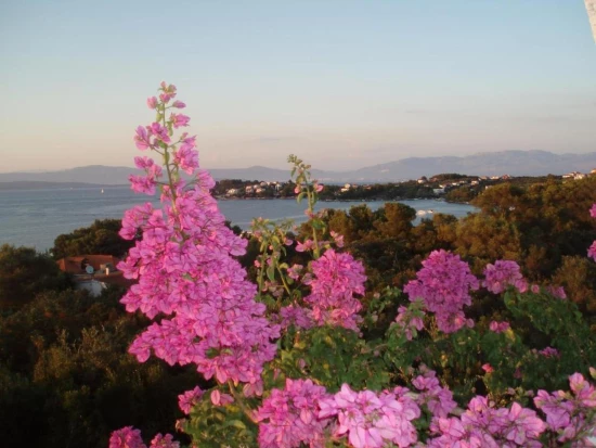 Apartmán Ostrov Šolta - Nečujam OS 12176 N1