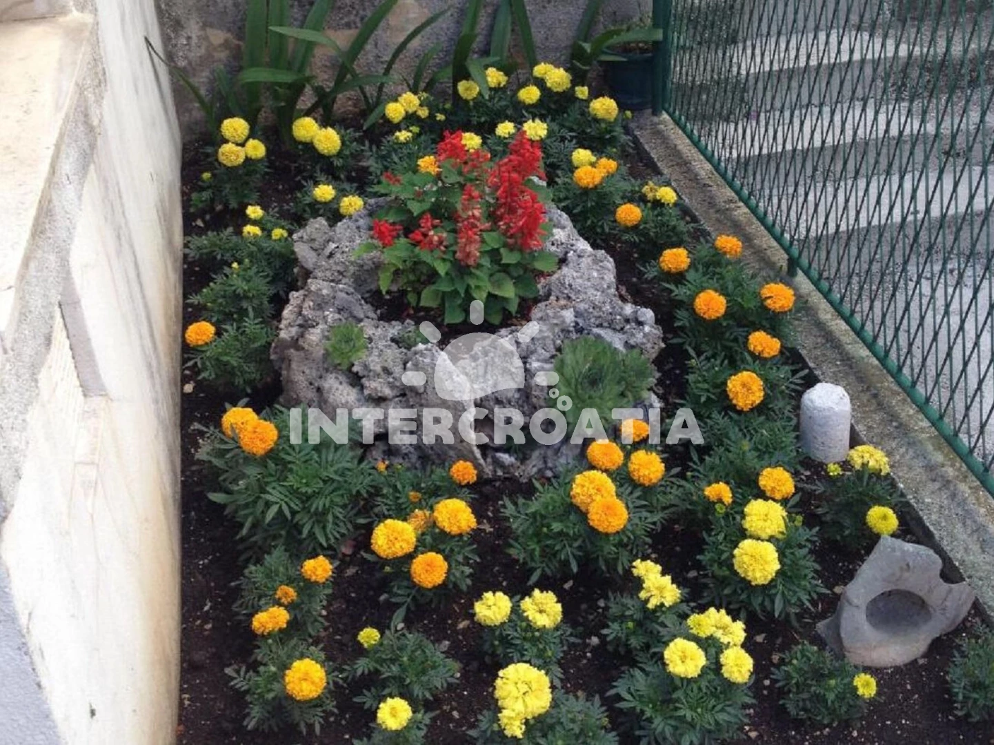 Apartmán Střední Dalmácie - Makarska DA 17191 N2