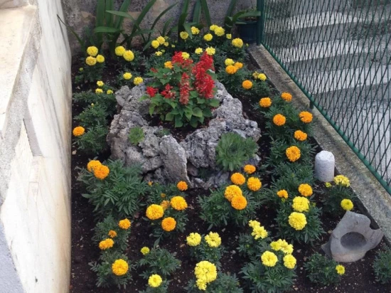 Apartmán Střední Dalmácie - Makarska DA 17191 N2