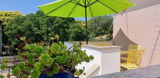 Apartmán Severní Dalmácie - Zaton (Petrčane) DA 17195 N1