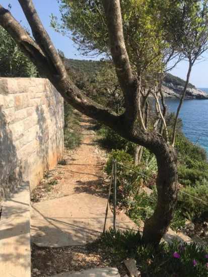 Domek Ostrov Korčula - Žrnovo OS 12183 N1