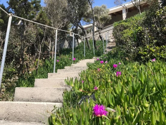 Domek Ostrov Korčula - Žrnovo OS 12183 N1