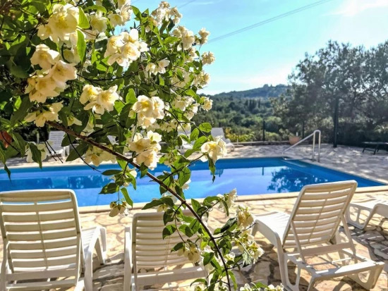 Apartmán Severní Dalmácie - Bilice (Šibenik) DA 17212 N1