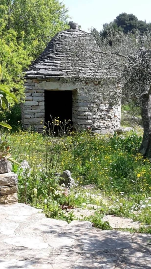 Domek Ostrov Korčula - Vela Luka OS 12184 N1