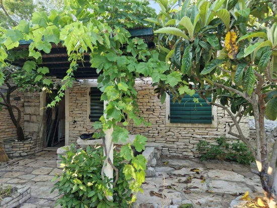 Domek Ostrov Korčula - Vela Luka OS 12184 N1