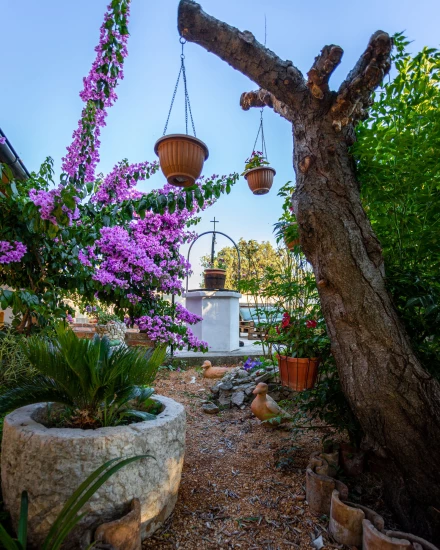 Domek Ostrov Rab - Mundanije OS 12185 N1