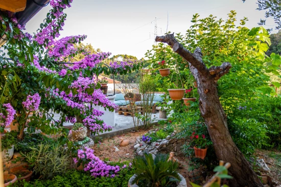 Domek Ostrov Rab - Mundanije OS 12185 N1