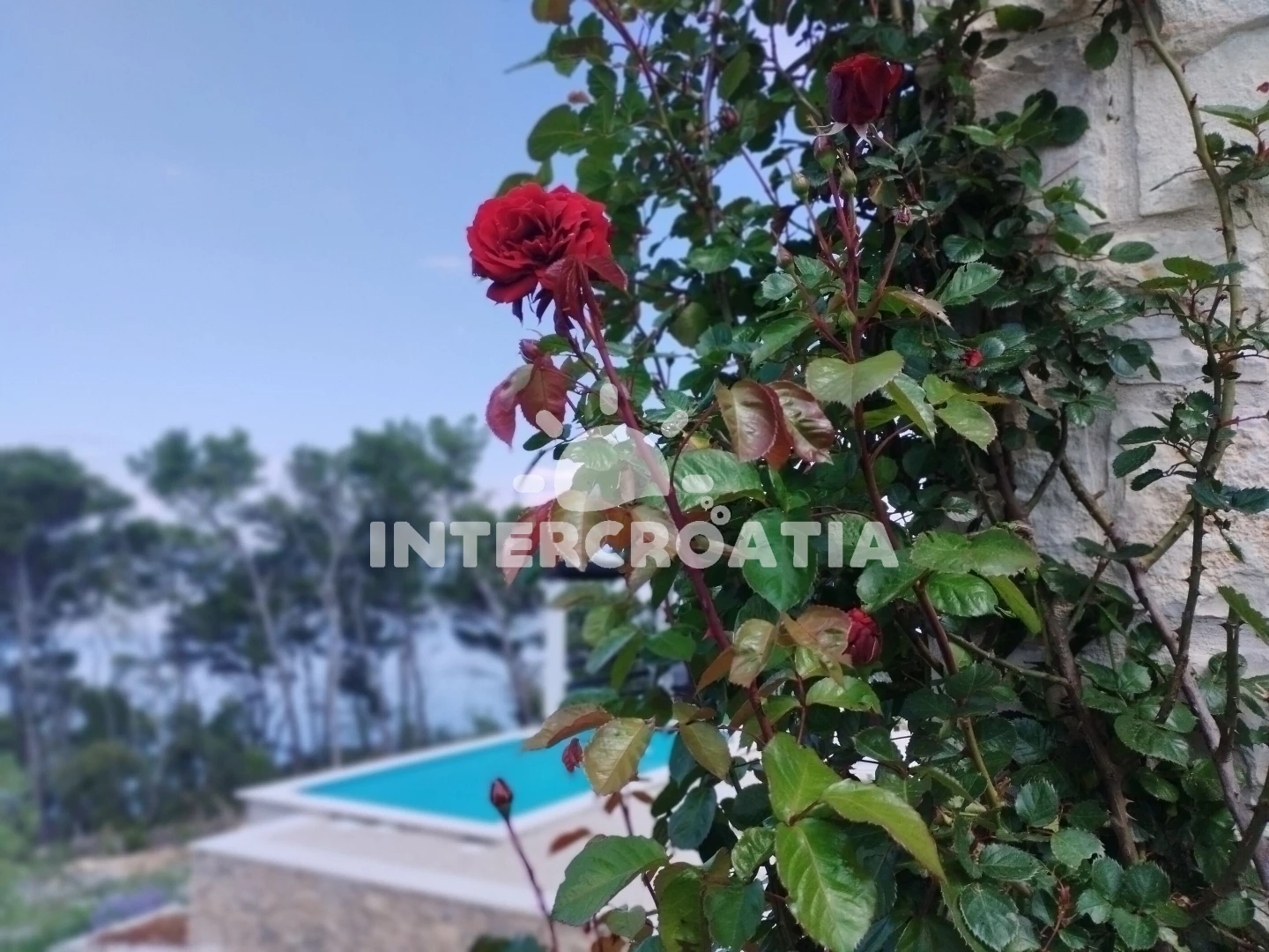 Domek Střední Dalmácie - Blato DA 17219 N1