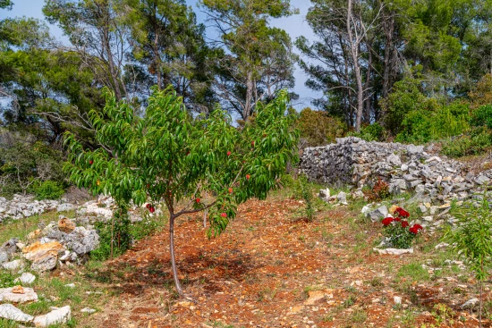 Domek Střední Dalmácie - Blato DA 17219 N1