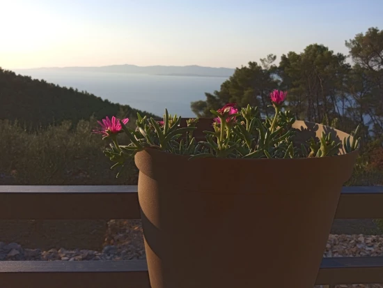 Domek Střední Dalmácie - Blato DA 17219 N1