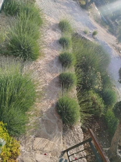 Domek Střední Dalmácie - Blato DA 17219 N1