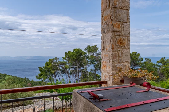 Domek Střední Dalmácie - Blato DA 17219 N1