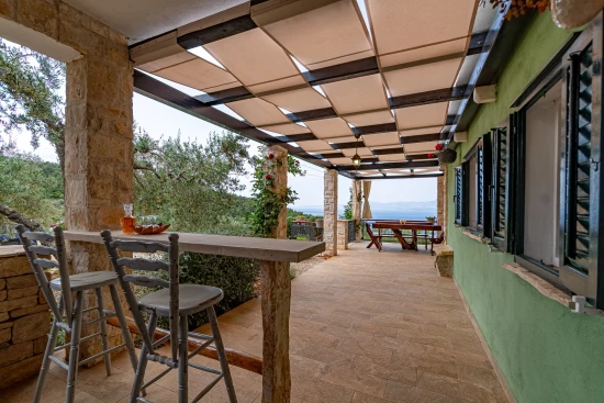 Domek Střední Dalmácie - Blato DA 17219 N1