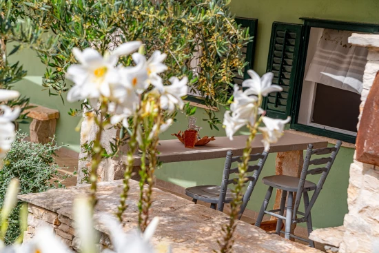 Domek Střední Dalmácie - Blato DA 17219 N1