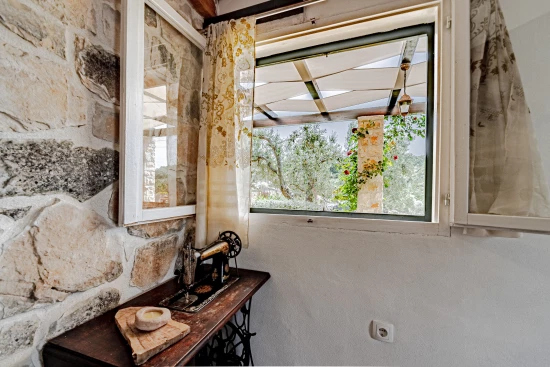 Domek Střední Dalmácie - Blato DA 17219 N1