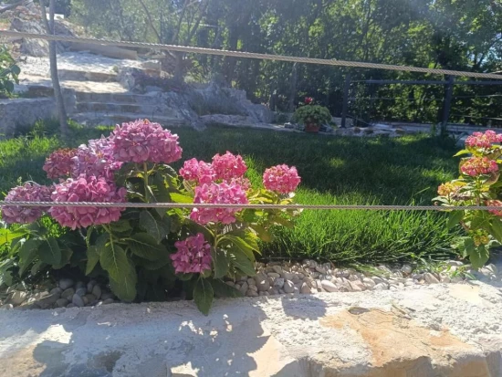 Domek Střední Dalmácie - Kučiće DA 17220 N1