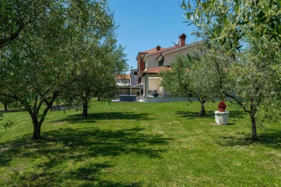 Apartmán Istrie - Brtonigla (Novigrad) IS 8056 N1