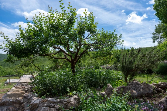 Domek Střední Dalmácie - Slivno (Imotski) DA 17226 N1