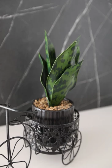 Apartmán Střední Dalmácie - Trogir DA 17229 N1