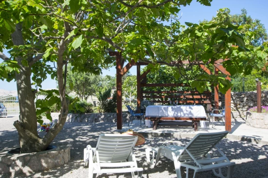 Apartmán Severní Dalmácie - Karlobag DA 17233 N1