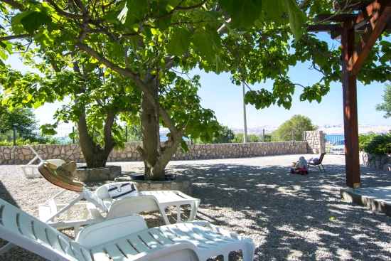 Apartmán Severní Dalmácie - Karlobag DA 17233 N1